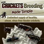 banner-crickets-breeding-made-simple-300×300